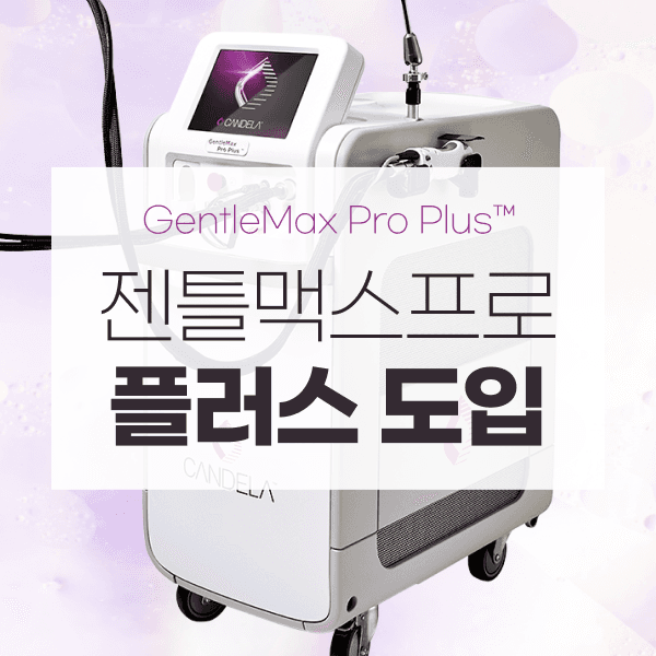 젠틀맥스프로플러스 도입