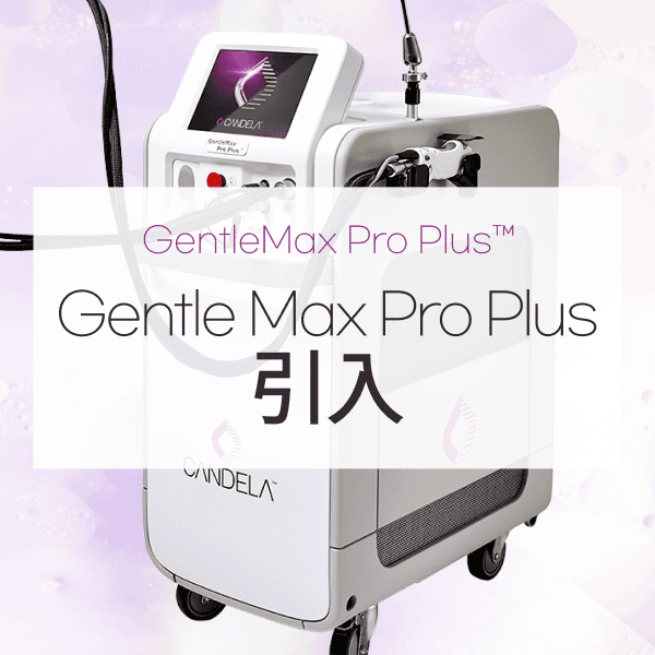 Gentle Max Pro Plus 引入
