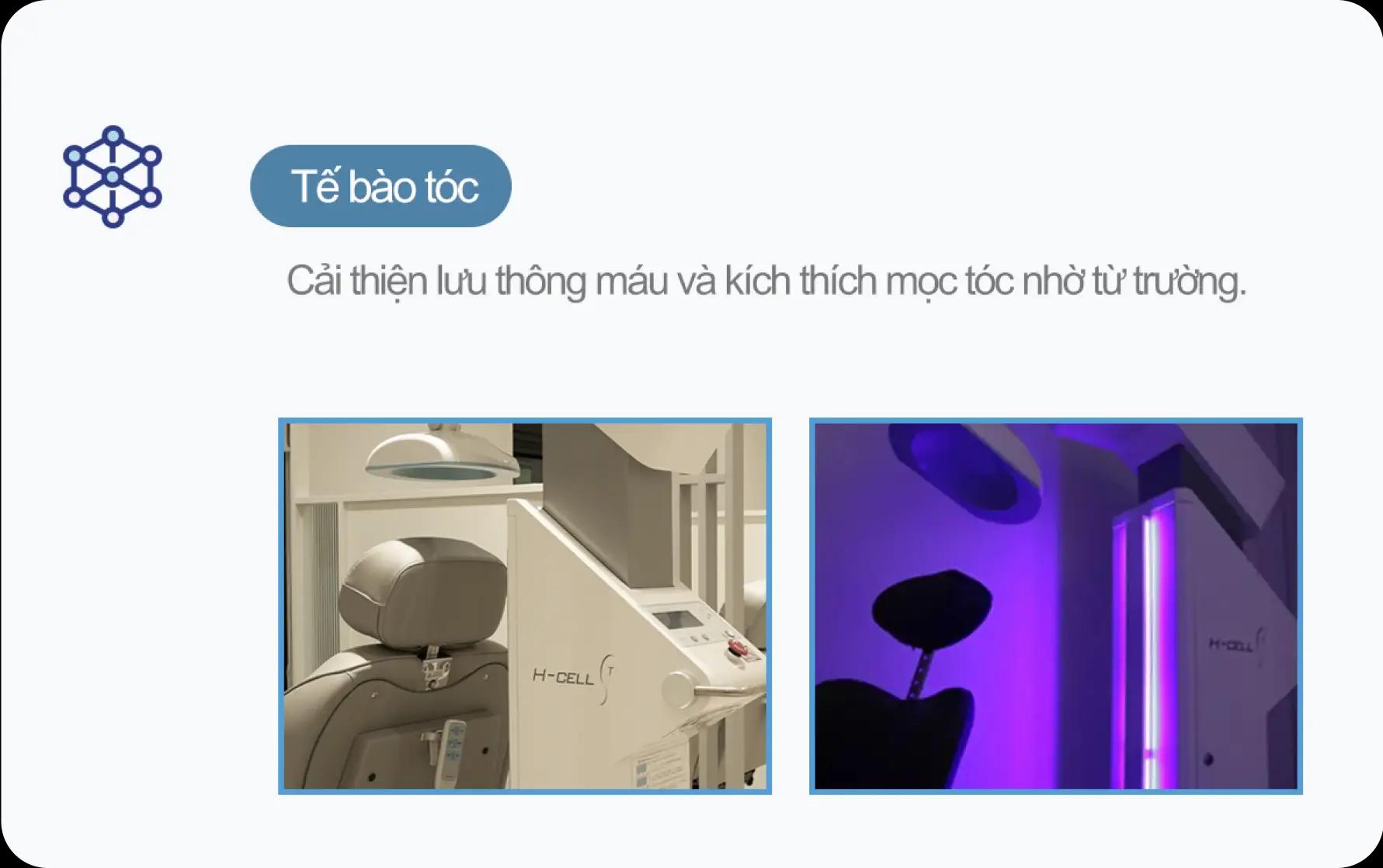 홀드 탈모치료 프로그램 6