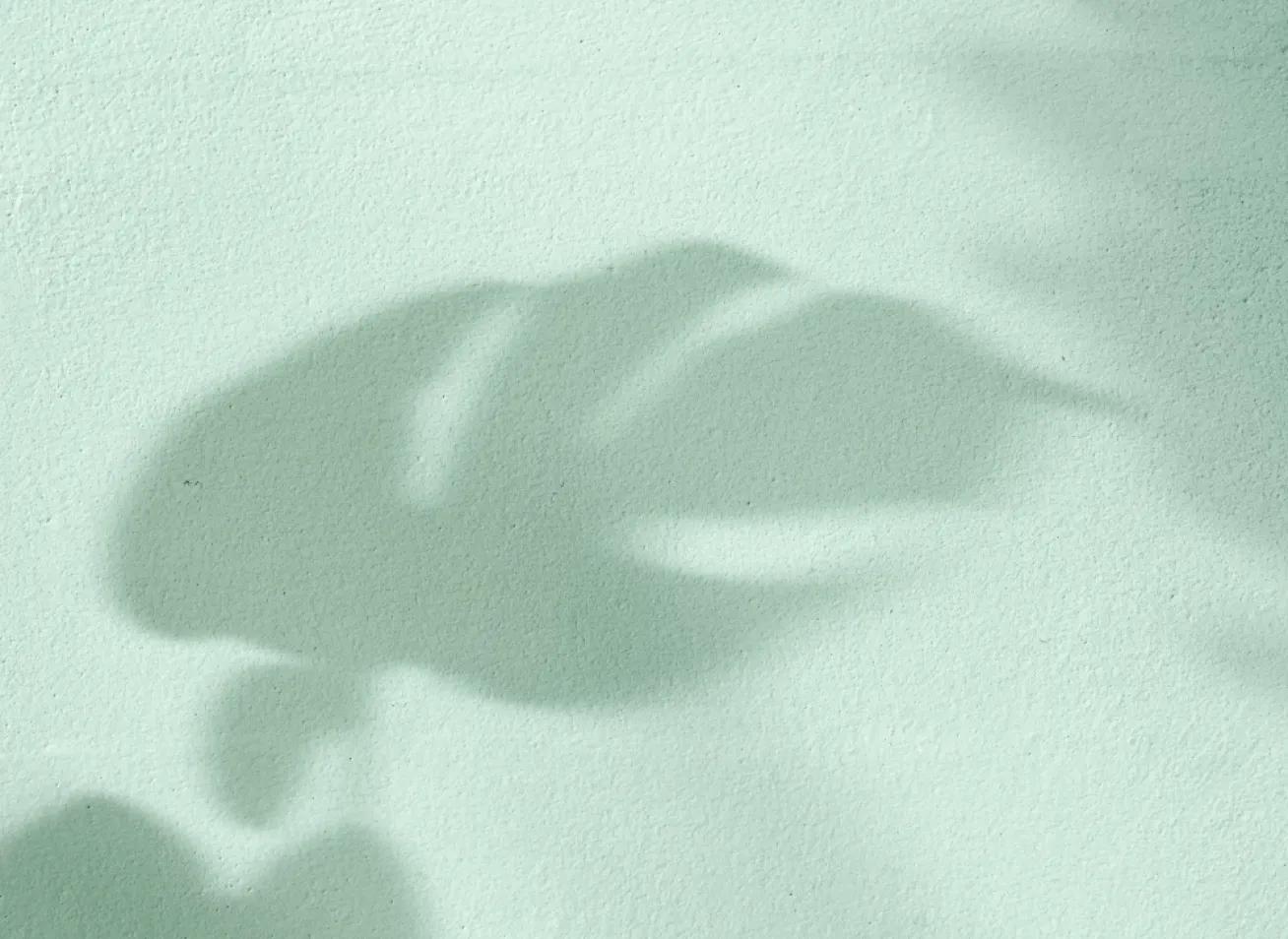 ความปลอดภัยได้รับการรับรองจาก FDA สหรัฐฯ